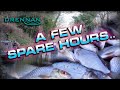 A Few Spare Hours | Match Fishing | Steve Winter