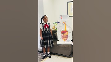 Human Digestive System ] Working Model, #muktha  #kids,#kanmani #school #humanandigestivesystem