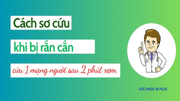Hướng dẫn sơ cứu khẩn cấp khi bị rắn cắn