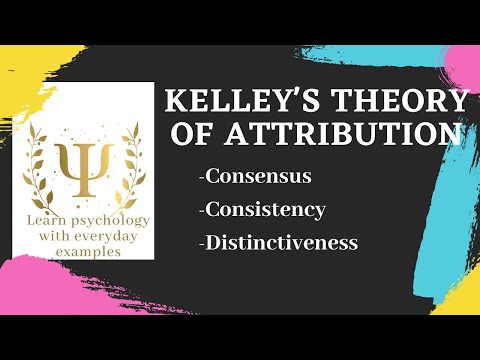 ვიდეო: რა არის კელის მიზეზობრივი მიკუთვნების თეორია?