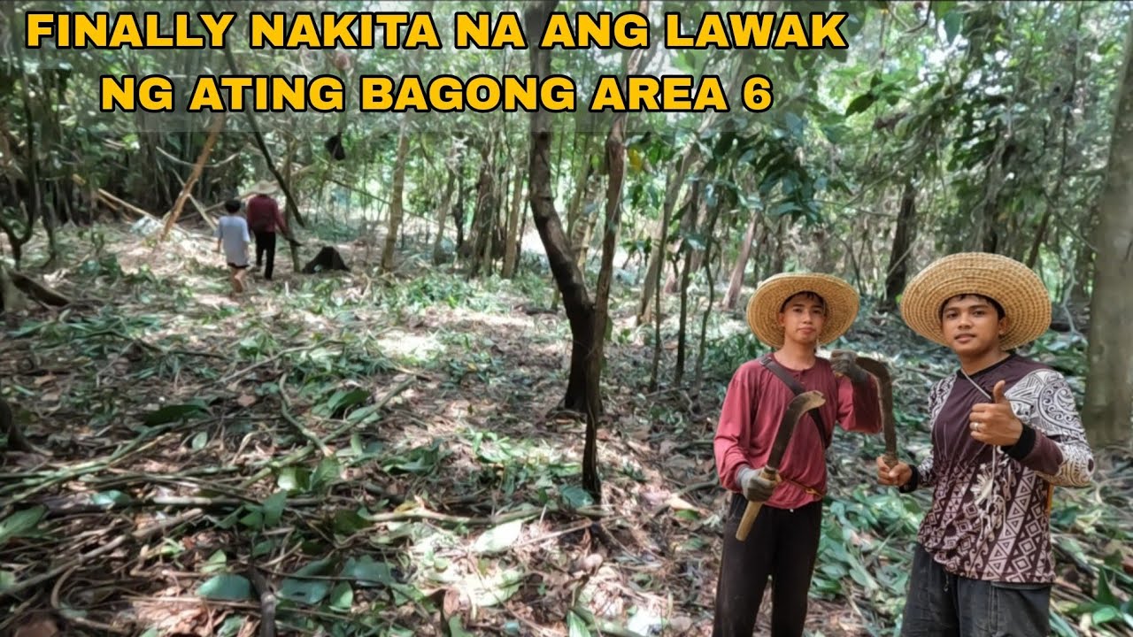 PANGALAWANG ARAW NG PAGTATABAS NAKITA NA ANG LAWAK NG BAGO NATING AREA 6