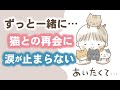 涙活！！ずっと一緒に…ネコとの再会に涙が止まらない #迷い猫​​​​ #保護猫​​​​ #猫