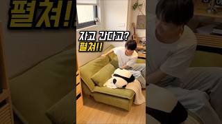 좁은 거실 200% 활용 방법! 3단 소파베드에요:) #소파베드 #좁은방인테리어 #자취템 #거실인테리어 #집꾸미기#쿠팡꿀템