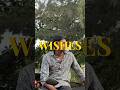 Be thankful #fyp #shorts #wish #thanks #beauty #peace #world #rich #short #youtube