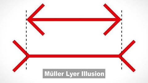 BPCC-101 | IGNOU | Practical file| BAPCH | Muller Lyer Illusion