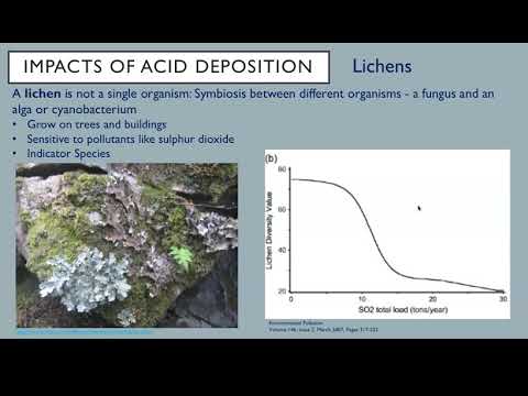 Video: Dab tsi yog qhuav acid deposition?