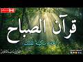 قرآن الصباح    قرآن كريم بصوت جميل جدا جدا يريح القلب   القارئ ماجد الدعوس دندنها