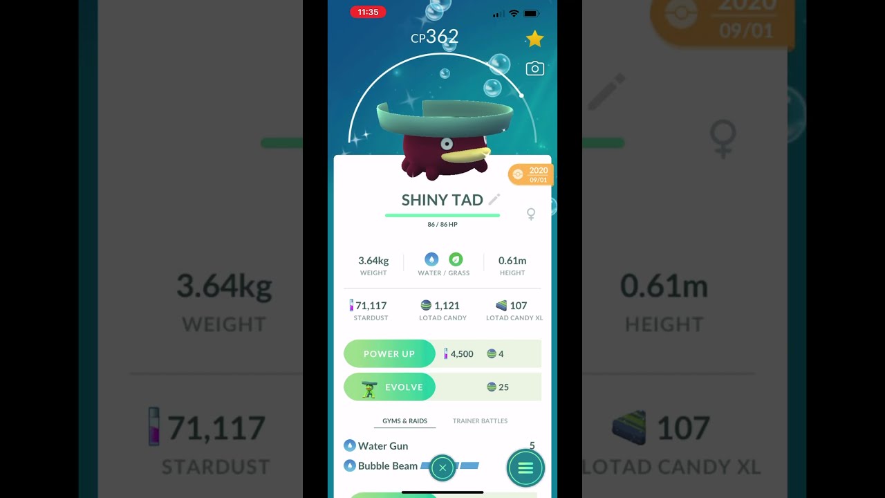 LOTAD SHINY Lotad Pokemongo