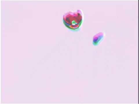 1996/01/01