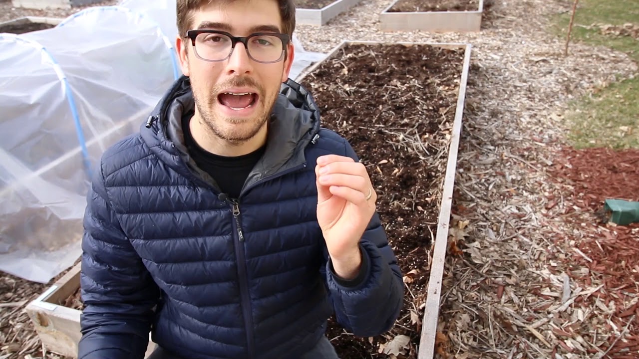 Autopilot Gardening - Raised Beds