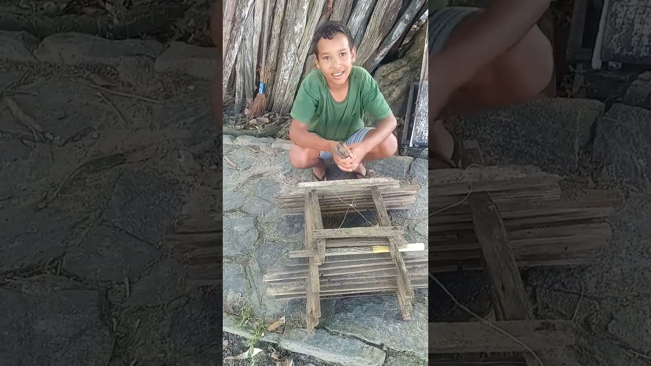 fís uma  arapuca na criação