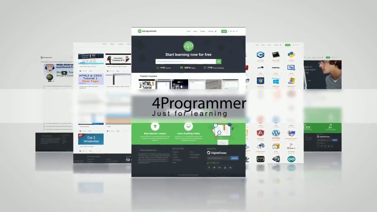 the best website to learn programming for free ( 4programmer.com ...