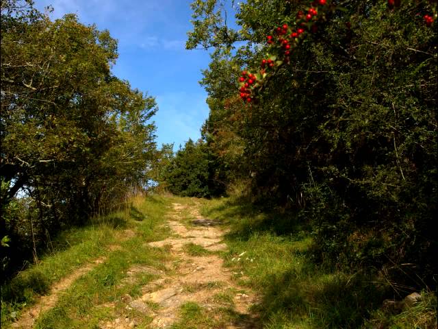 Stand by me Tyros 4 et Roland  au bout du sentier de 5lo class=