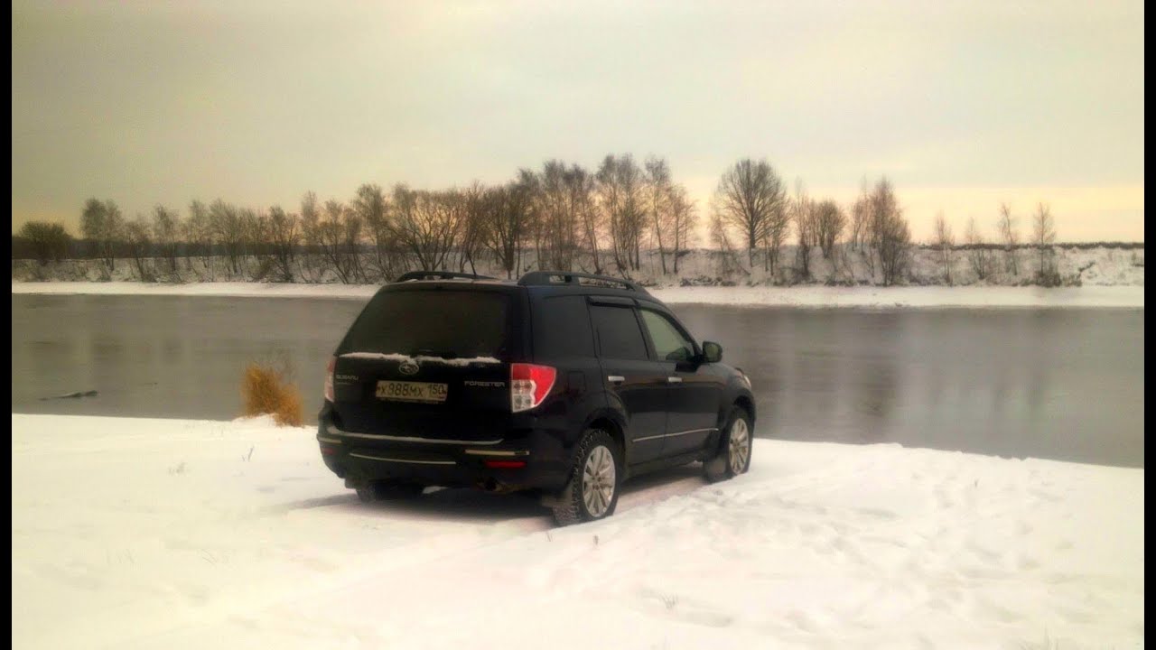 Кэрол субару спб софийская