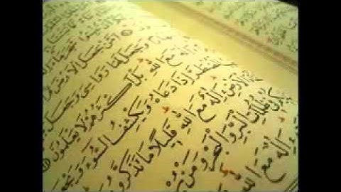 سورة الفتح    عبد الله المطرود