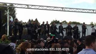 banda fresa sal y limon