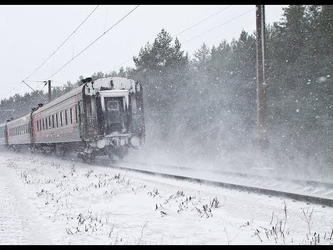 Поезд жизни