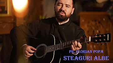 Pr. Florian Popa - STEAGURI ALBE [cover Stefan Hrusca][Versuri: Adrian Paunescu]