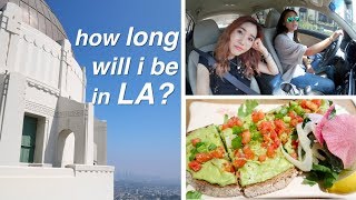 The Americana, Griffith Observatory, & Disneyland💫 The Americana, Griffith Observatory, & Disneyland💫