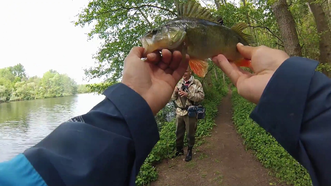 フィネスの釣り (drop shot) pêche finesse