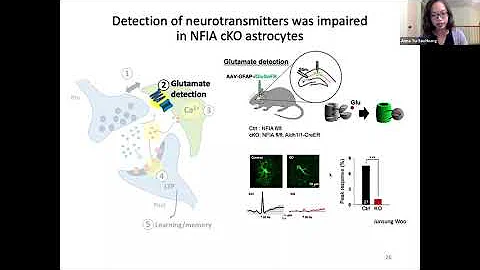 [Anna Yu-Szu Huang] Region-specific transcriptiona...