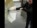 Video Image