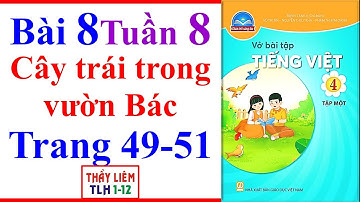 Vở Bài Tập Tiếng Việt Lớp 4 Bài 8 Tuần 8 | Cây trái trong vườn Bác Trang 49 - 51 Chân Trời Sáng Tạo