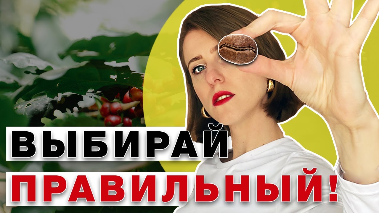 Вот что скрывается за ДЕШЕВЫМ кофе! - Кофейная ферма в КОЛУМБИИ - YouTube
