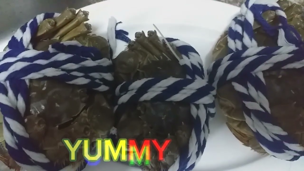 YUMMY CRAB READY FOR STEAM 