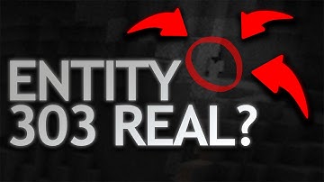 The Entity 303 Documentary [Third Encounter]