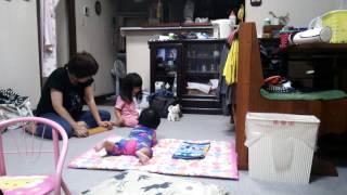 橋本あおいちゃんとももかちゃん 20130905ー18