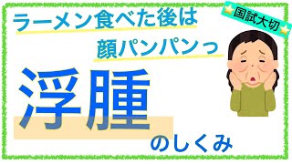 教科書をわかりやすく！「浮腫のしくみ」