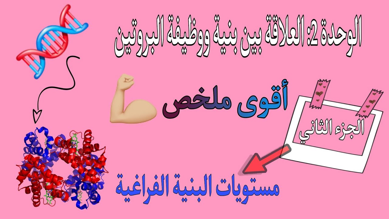بكالوريا🔥وحدة العلاقة بين بنية وظيفة البروتين -مستويات البنية الفراغية |الجزء2