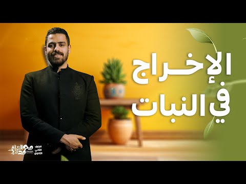الإخراج في النبات احياء تانية ثانوي الترم الثاني 2025 محمد العراقي 