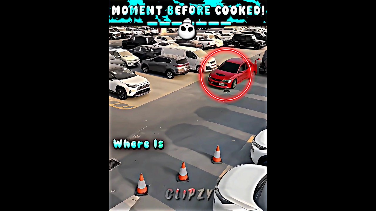 Perfect parking 💀