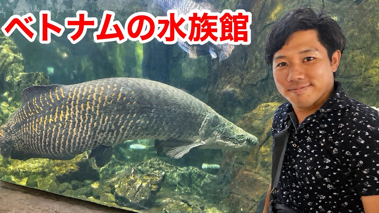 ベトナム最大の水族館に行ったら日本ではあり得ない展示だらけでした