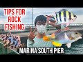 Multi-Species Rock Fishing in Singapore | Marina South Pier | Fishing Tips and Tricks