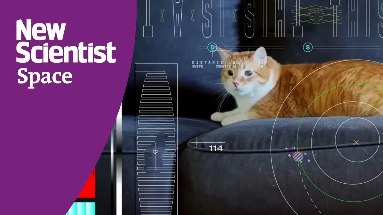 NASA Sends Cat Video 31 000 000 Kilometres Through Space YouTube nasa-sends-cat-video-31-000-000-kilometres-through-space-youtube