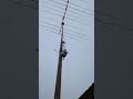 VID 20191220 123811