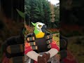Mann Bird #tf2 #shorts