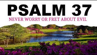 Never Worry or Fret about Evil People : Psalm 37 (NLT)