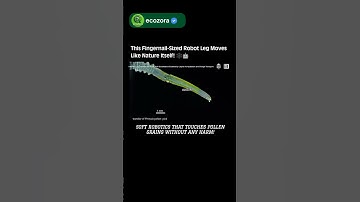 Spider-Inspired Soft Robot Will Blow Your Mind! 🤯 #robotics #science #innovation #future #technology