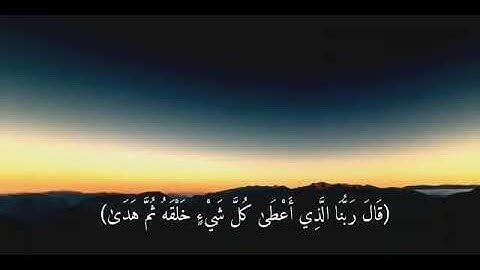 رعد الكردي اجمل تلاوة من سورة طه ( قال فمن ربكما ياموسى)
