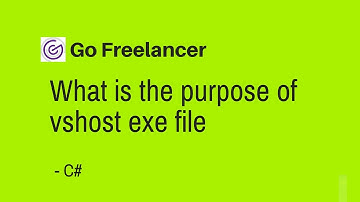 What is the purpose of vshost exe file