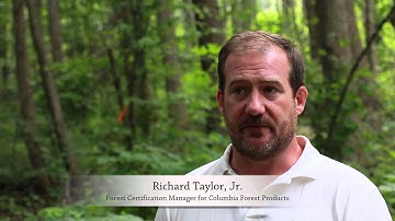 Management Plans for Forest Certification