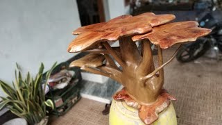 Full Waste Teak root genuine Reclaimed it includes stunning coffee Table News