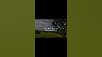 لو أنزلنا هذا القرآن على جبل لرأيته خاشعًا سورة الحشر بصوت الشيخ المنشاوي #قرآن #المنشاوي #الحشر