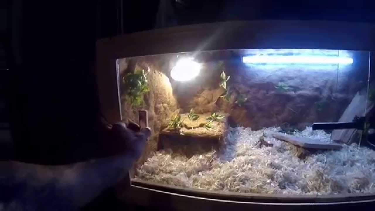 Home made ball python cage YouTube
