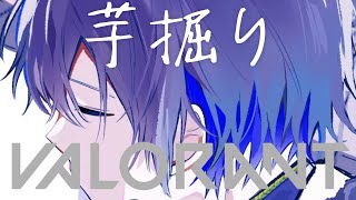 【VALORANT】芋掘り【小柳ロウ/にじさんじ】