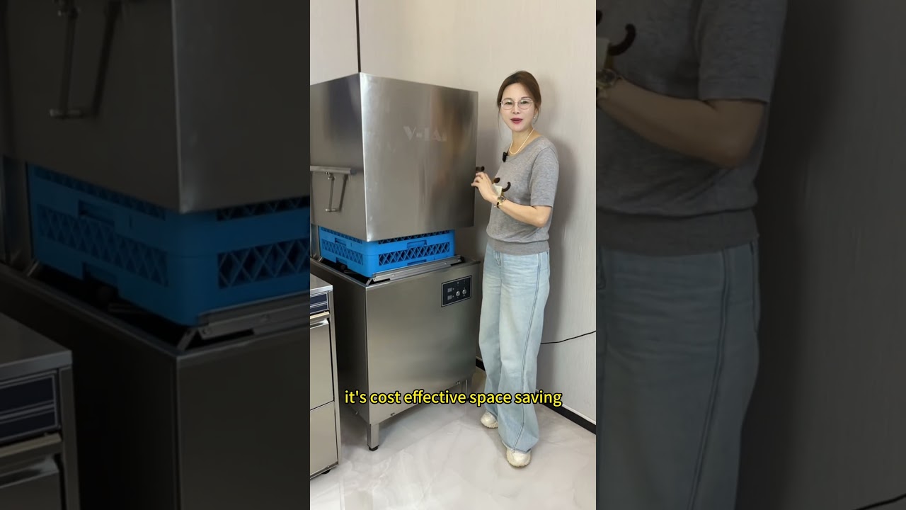 Hood-type dishwasher from source Factory